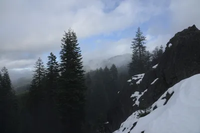 DSC_0867 (Large).JPG